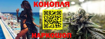 PSILOCYBIN Кулебаки