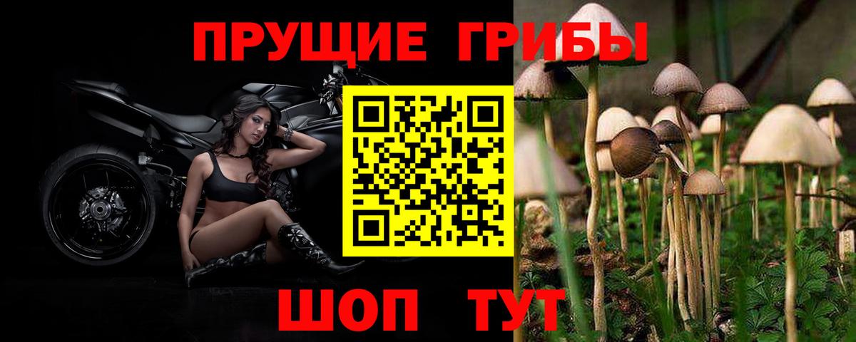 Псилоцибиновые грибы прущие грибы Ипатово