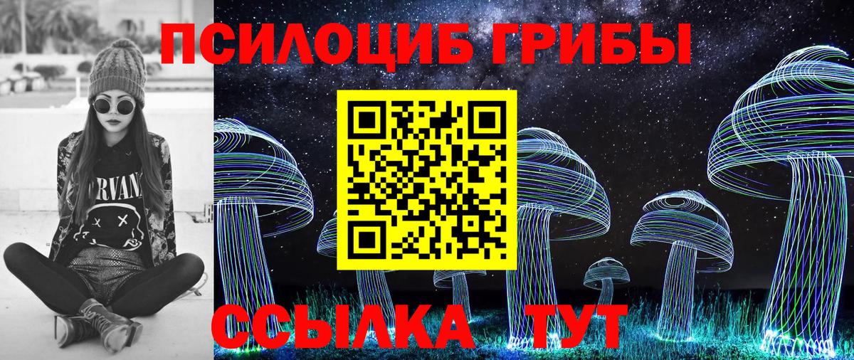 Ипатово  Галлюциногенные грибы Psilocybe  Вход с VPN 